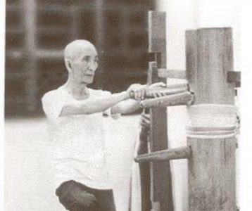 A Wing Chun practitioner demonstrating Lap Sao, the pulling hand, on the wooden dummy